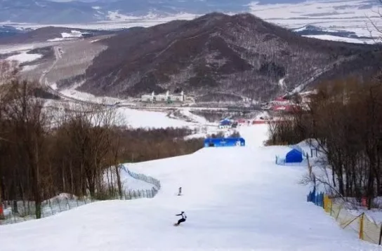 哈尔滨体育学院：冰雪领域的专业体育院校深度解析